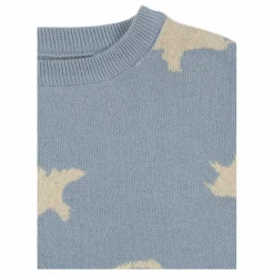 Online Pull Lapis Dinosaures Coton Bio | Enfant Pulls, Gilets|Pulls, Gilets