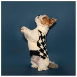 The Furry Folks Accessoires Animaux*Pull Pixmond |