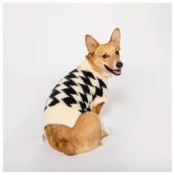 The Furry Folks Accessoires Animaux*Pull Pixmond |