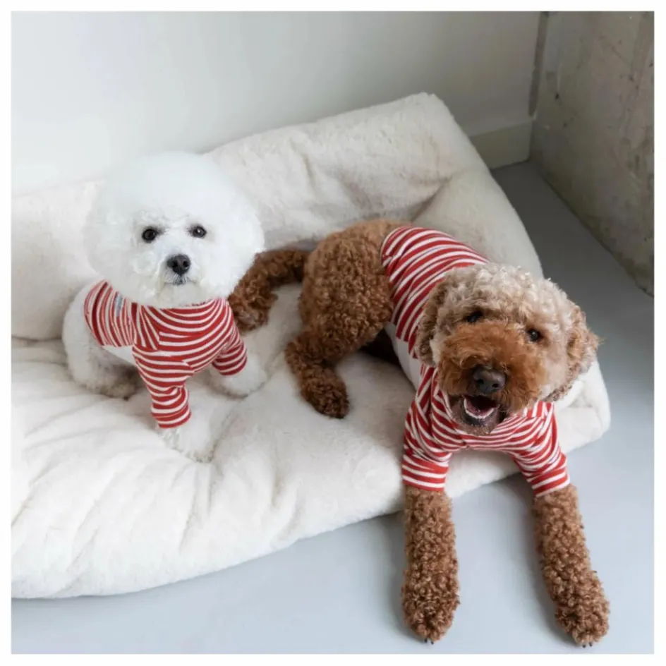 The Furry Folks Pull rayé || Accessoires Animaux
