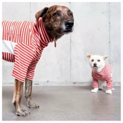 The Furry Folks Pull rayé || Accessoires Animaux