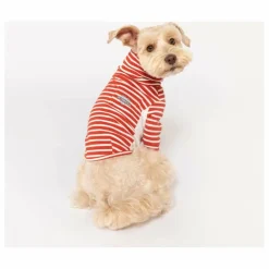 The Furry Folks Pull rayé || Accessoires Animaux