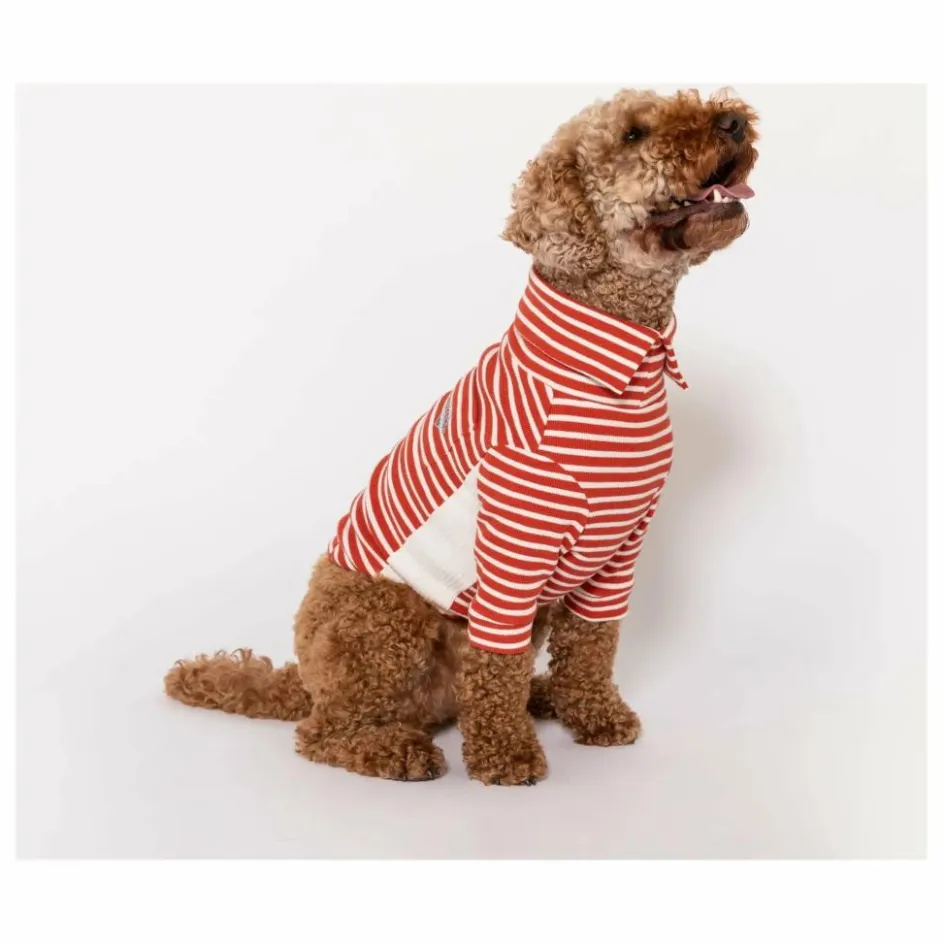 The Furry Folks Pull rayé || Accessoires Animaux