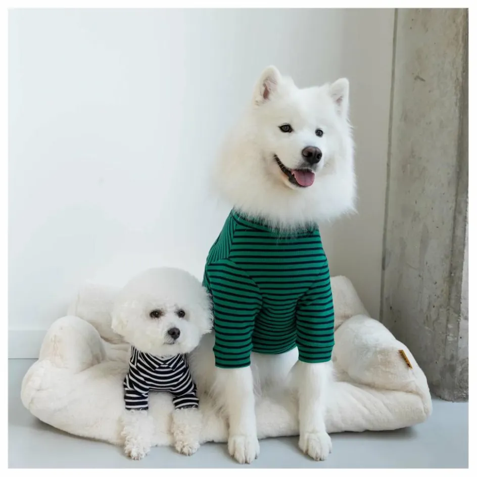 Sale Pull rayé | Accessoires Animaux