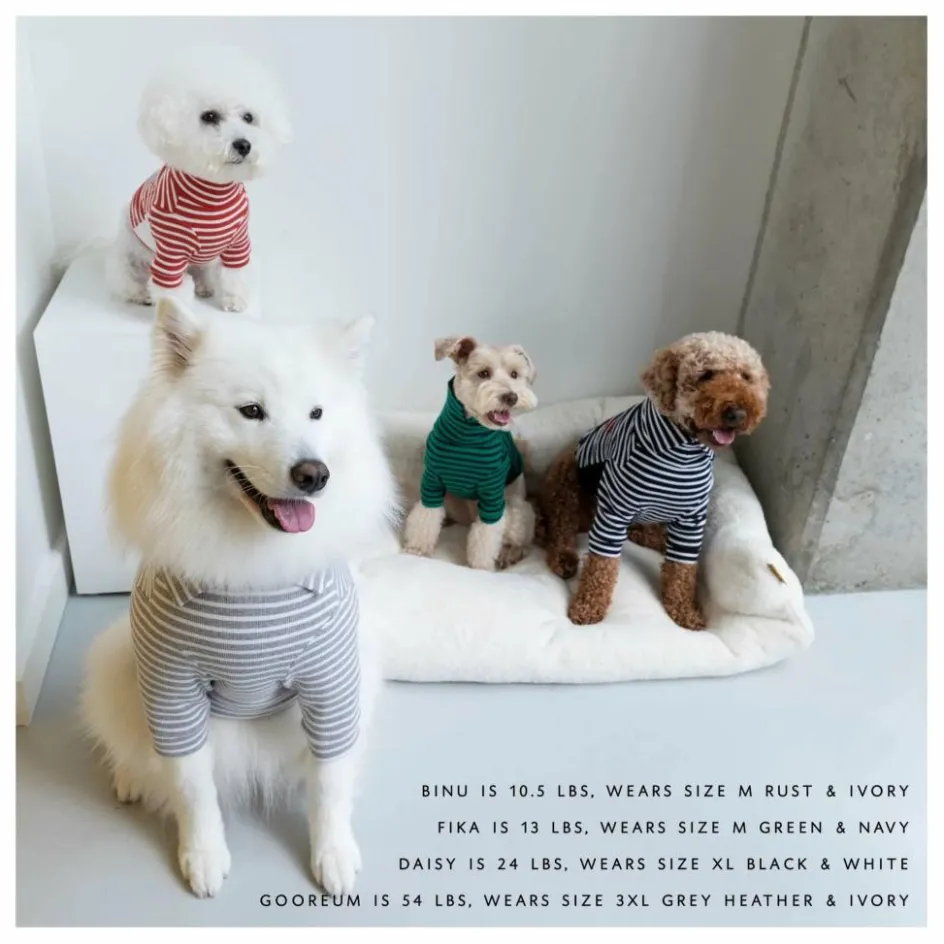 Sale Pull rayé | Accessoires Animaux