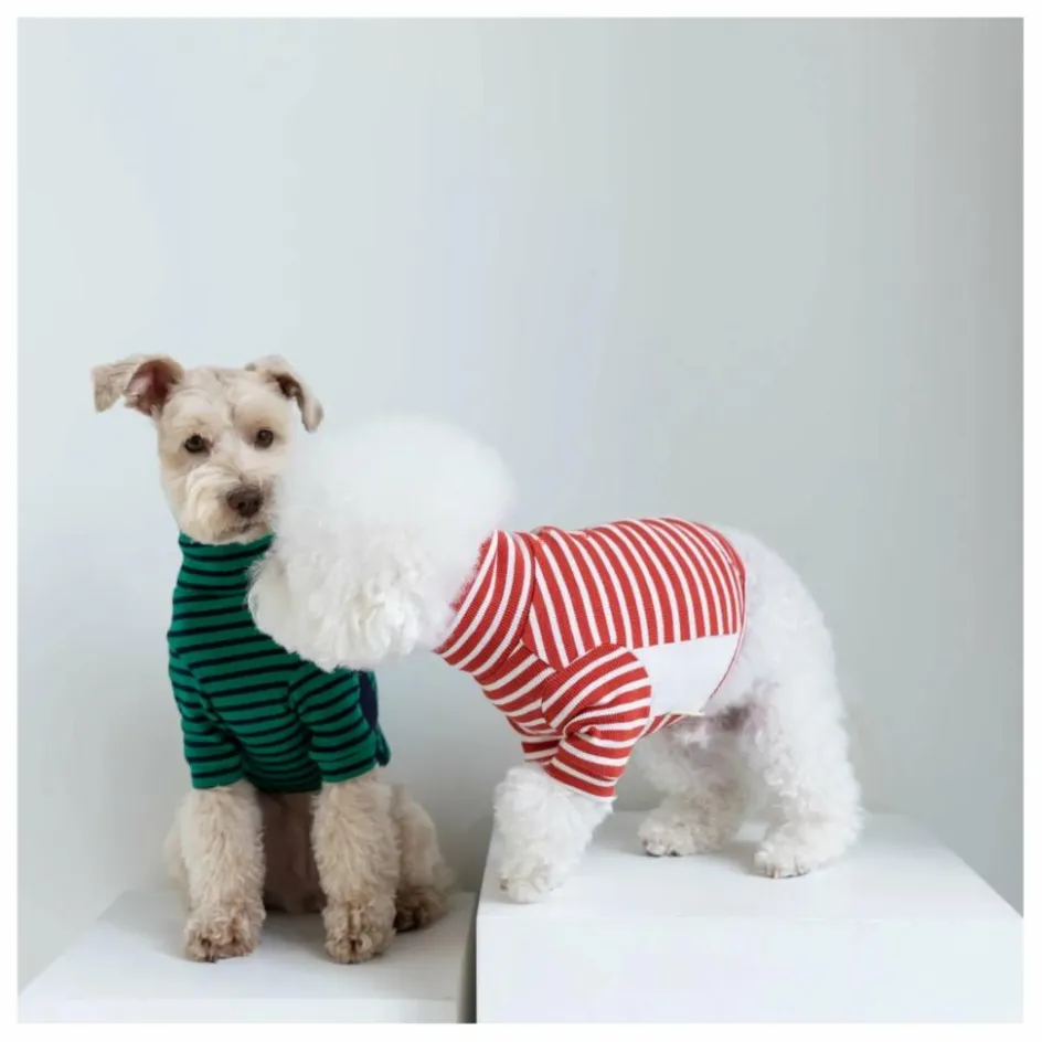 Sale Pull rayé | Accessoires Animaux