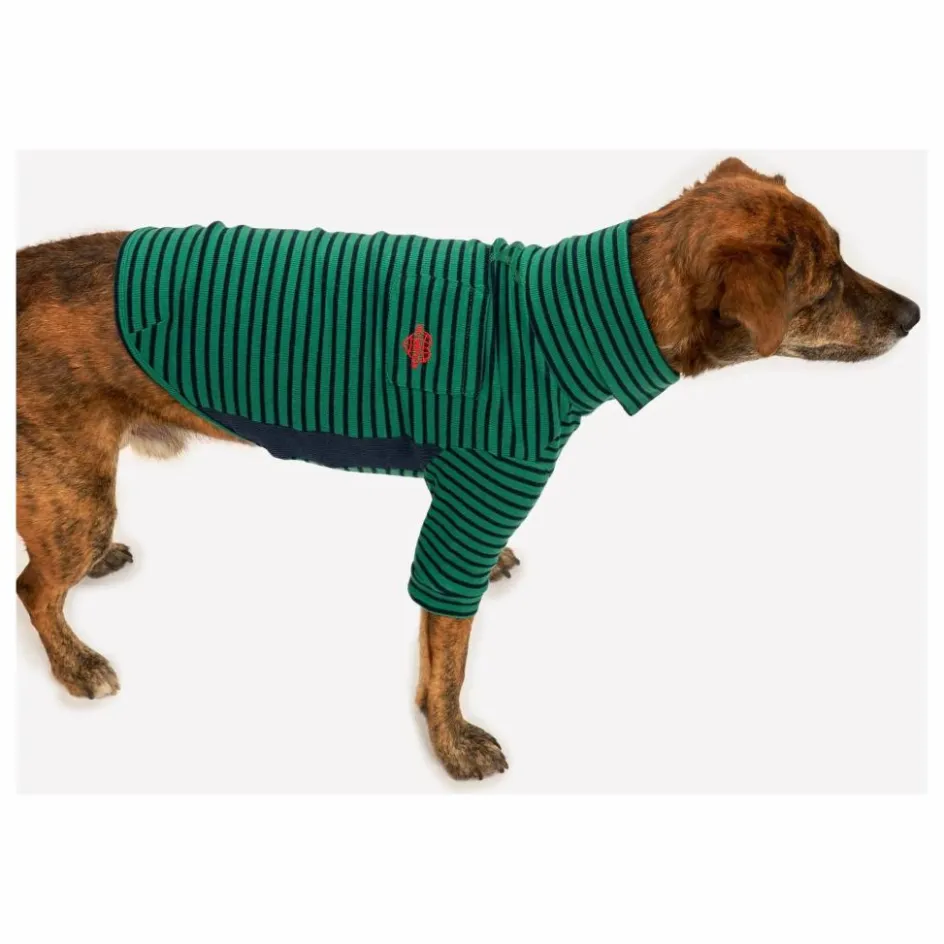Sale Pull rayé | Accessoires Animaux