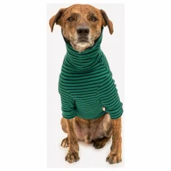 Sale Pull rayé | Accessoires Animaux