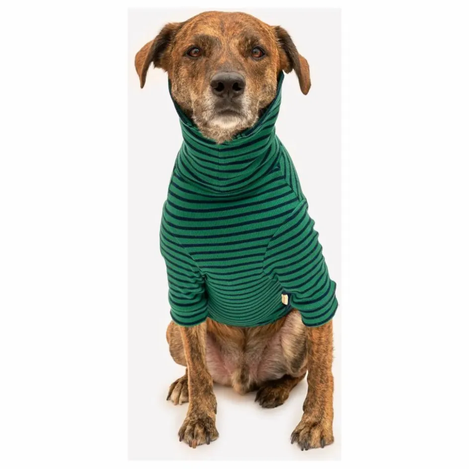 Sale Pull rayé | Accessoires Animaux