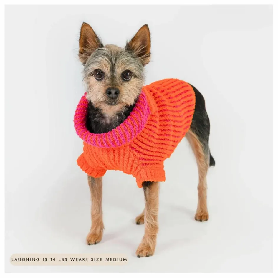 The Furry Folks Pull Rib || Accessoires Animaux