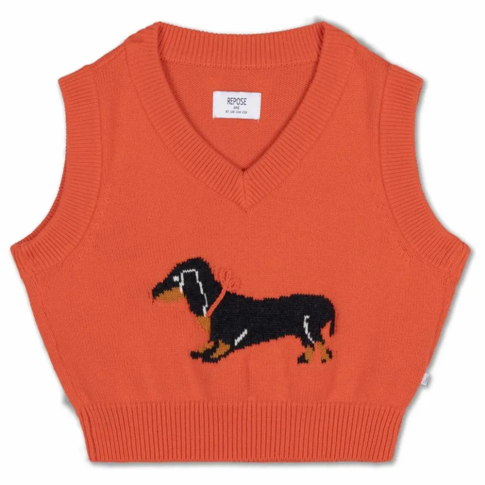 Outlet Pull Sans Manches Chien | Enfant Pulls, Gilets|Pulls, Gilets