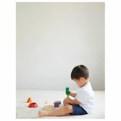Plan Toys Jouets D'Éveil*Pyramide à empiler et à encastrer