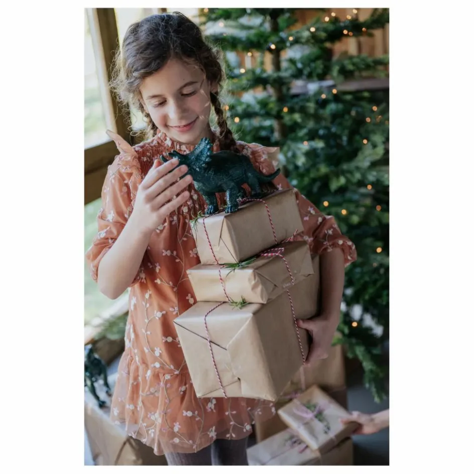 Gingersnaps Robe Brumhilda ||Enfant Robes, Combinaisons