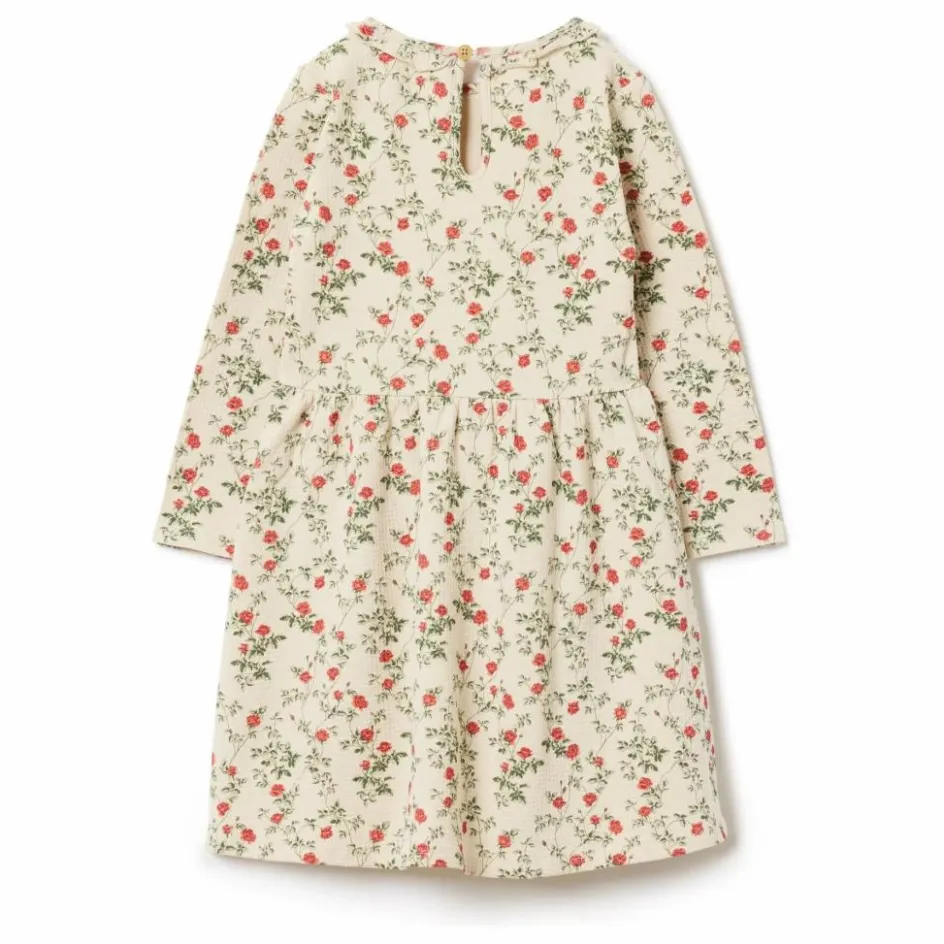 Sale garbo&friends Robe Petit Rose | Ecru