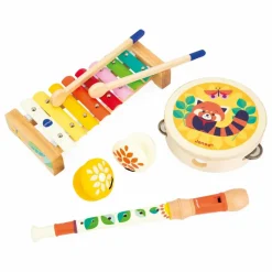 Best Set 4 Instruments Gioia Musique