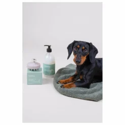 Holidermie Shampoing pour chien sans sulfate Holidog - 480ml Non teinté