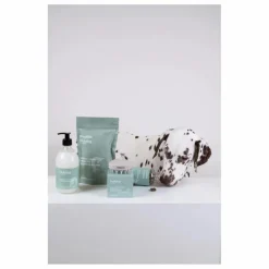 Holidermie Shampoing pour chien sans sulfate Holidog - 480ml Non teinté