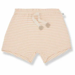1+ in the family Short Carolina | Jaune