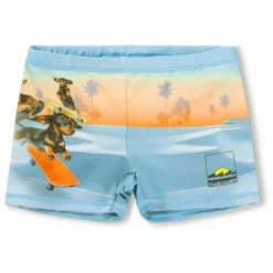 Online Molo Short de Bain Norton Placed Skate Fibres Recyclées | Bleu pâle