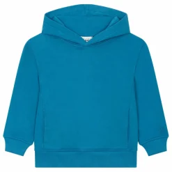 New SMALLABLE BASICS Sweat A Capuche Garçon Coton Bio | Bleu azur