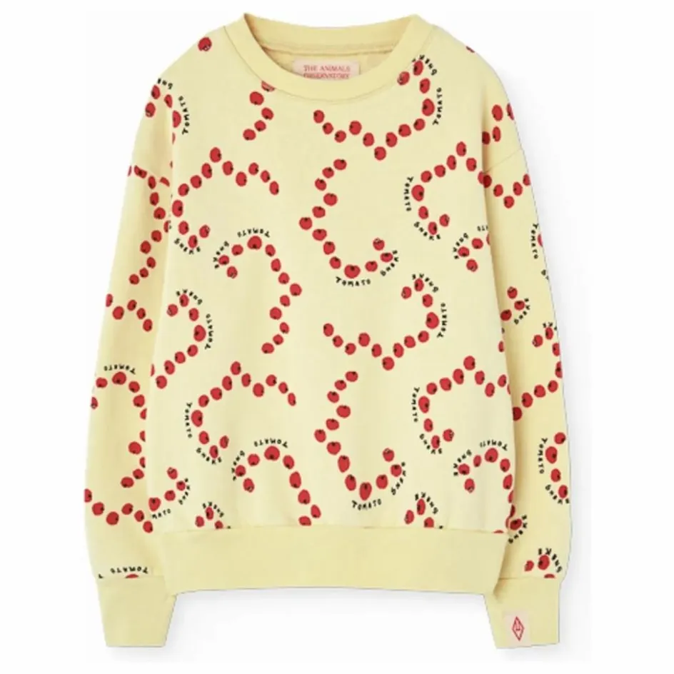 The Animals Observatory Sweat Bear ||Enfant Sweats|Sweats