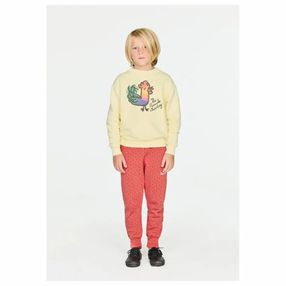 The Animals Observatory Sweat Bear Coq | Jaune
