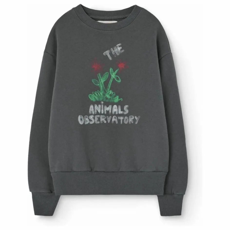The Animals Observatory Sweat Bear Fleurs ||Enfant Sweats|Sweats
