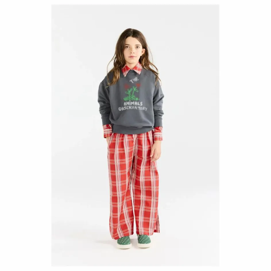 The Animals Observatory Sweat Bear Fleurs ||Enfant Sweats|Sweats