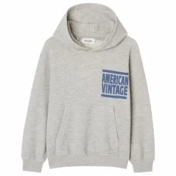 Clearance American Vintage Sweat Capuche Zofbay | Gris chiné