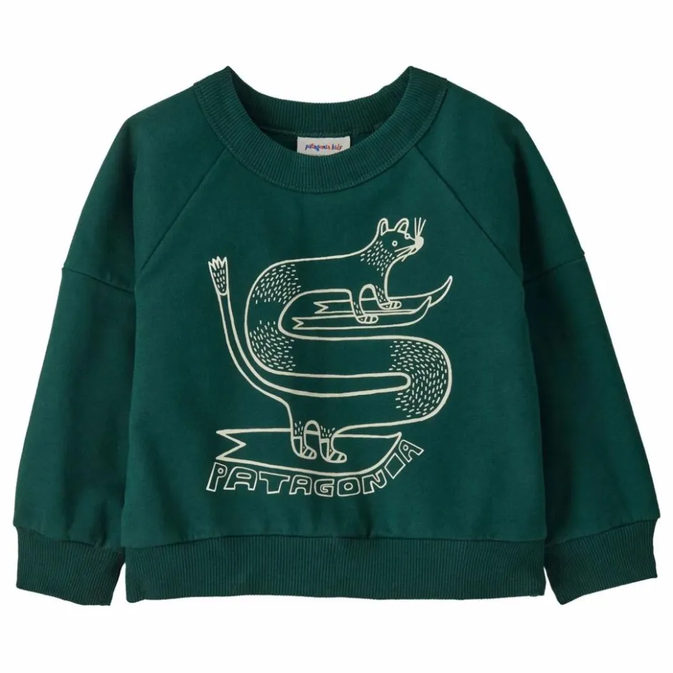 Online Patagonia Sweat Crew Coton Bio Bébé | Vert