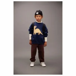 Enfant Mini Rodini Sweats|Sweats*Sweat Dino Coton Bio |