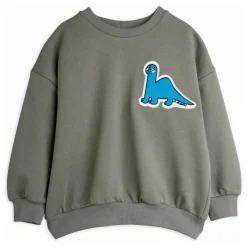 Hot Sweat Dino Patch Coton Bio | Enfant Sweats|Sweats