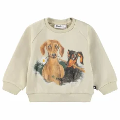 Hot Molo Sweat Disc Coton Bio | Ecru