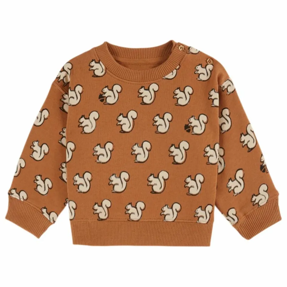 Emile et Ida Sweat Ecureuils Coton Bio || Sweats