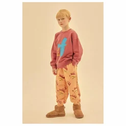 Online Sweat Flying Bird | Enfant Sweats
