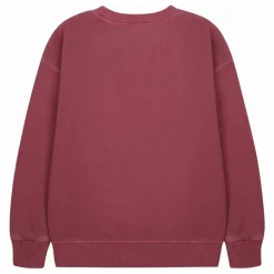 Online Sweat Flying Bird | Enfant Sweats