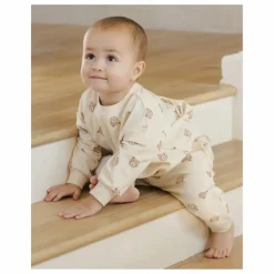 New Sweat Ours Coton Bio | Enfant Sweats|Sweats