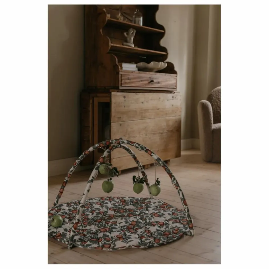 Online Tapis d'éveil Pomme Tapis D'Éveil Et Arches|Puériculture