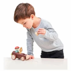 Tender Leaf Toys Garages, Circuits*Taxi des animaux de la forêt
