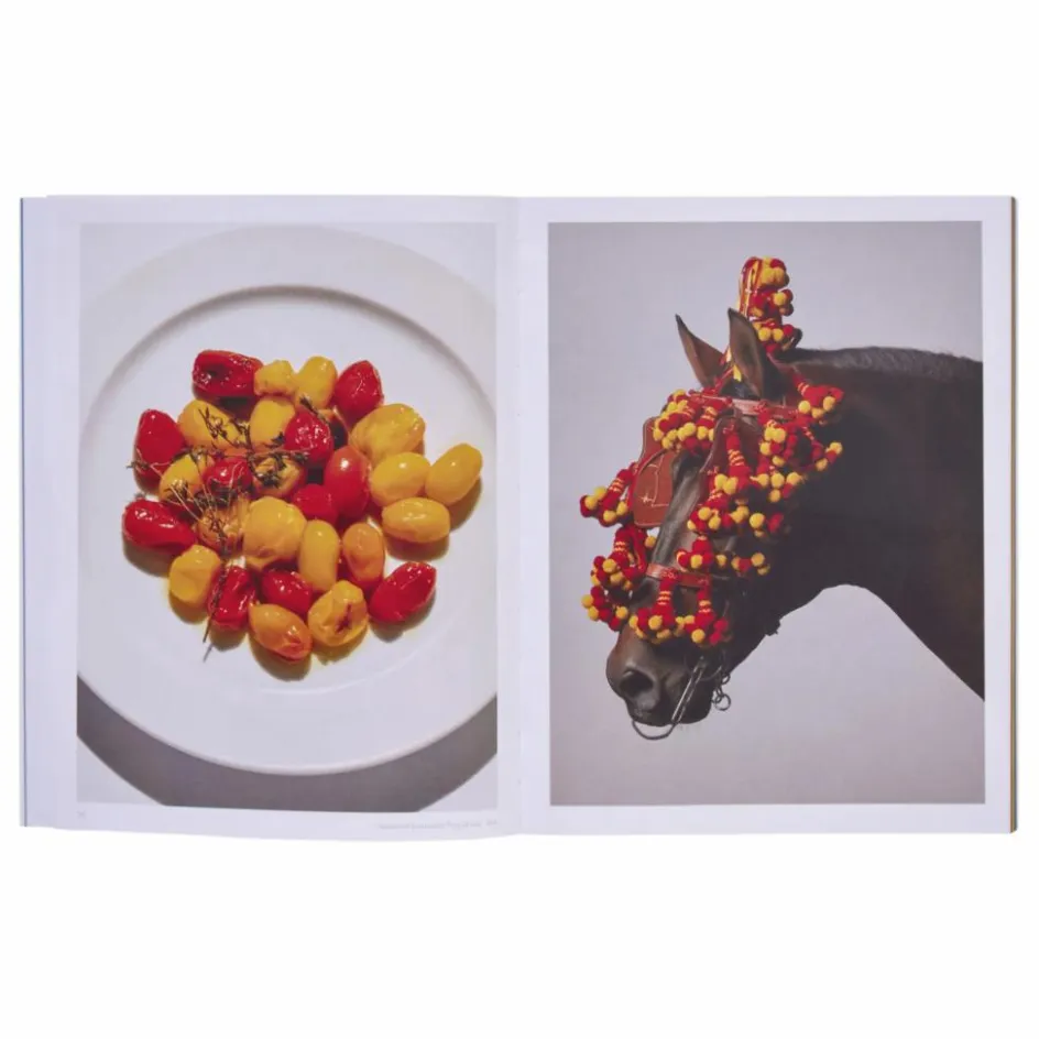 Homme Phaidon Livres|Livres, Jeux*The River Cafe Lookbook for Kids - EN