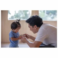 Plan Toys Jouets D'Éveil*Téléphone Tendresse en bois