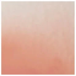 Rose Inc Toner clarifiant Skin Resolution|Femme Soins Du Visage