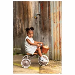Banwood Vélos, Draisiennes*Tricycle en métal et bois |