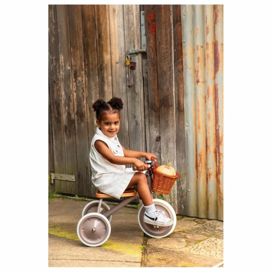 Banwood Vélos, Draisiennes*Tricycle en métal et bois |