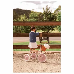 Banwood Tricycle en métal et bois || Vélos, Draisiennes