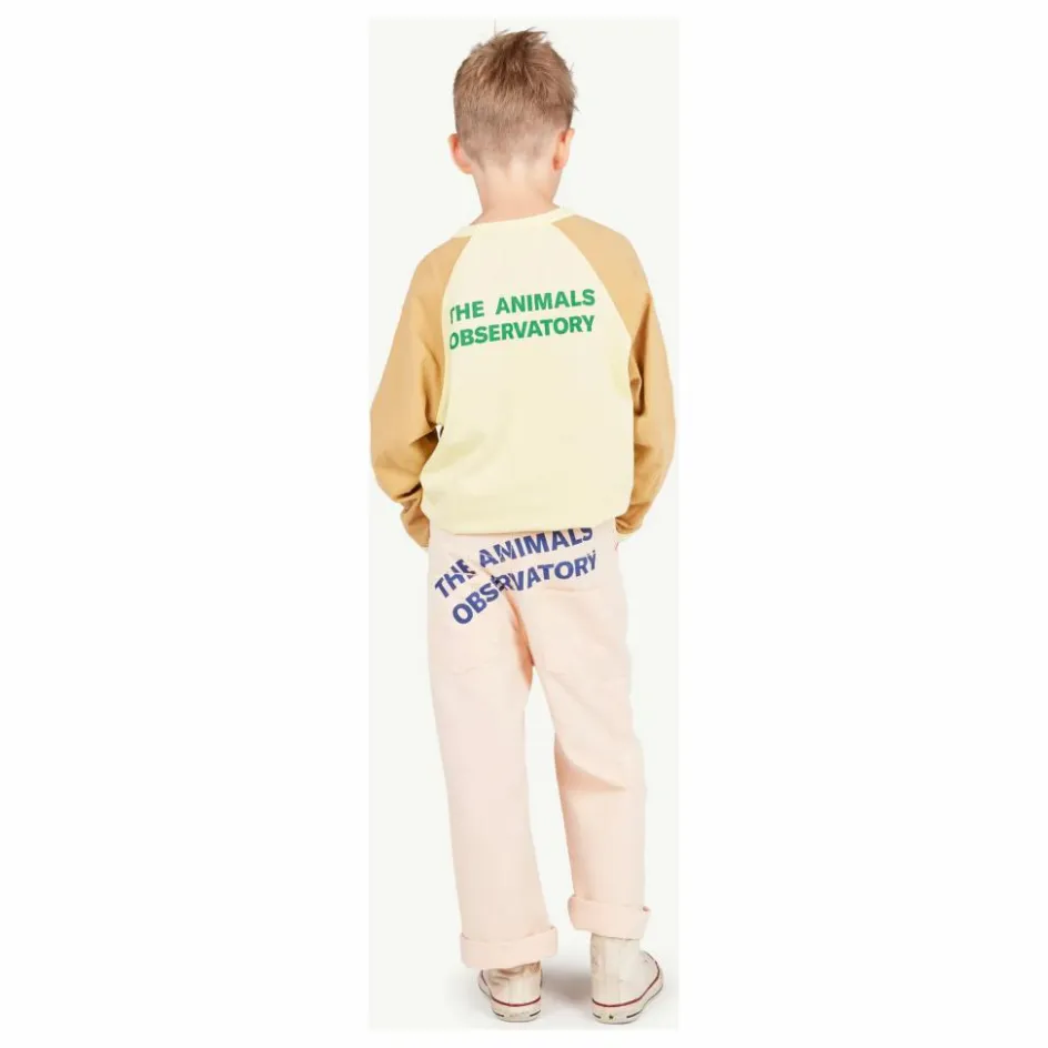 Online The Animals Observatory T-Shirt Anteater | Jaune pâle