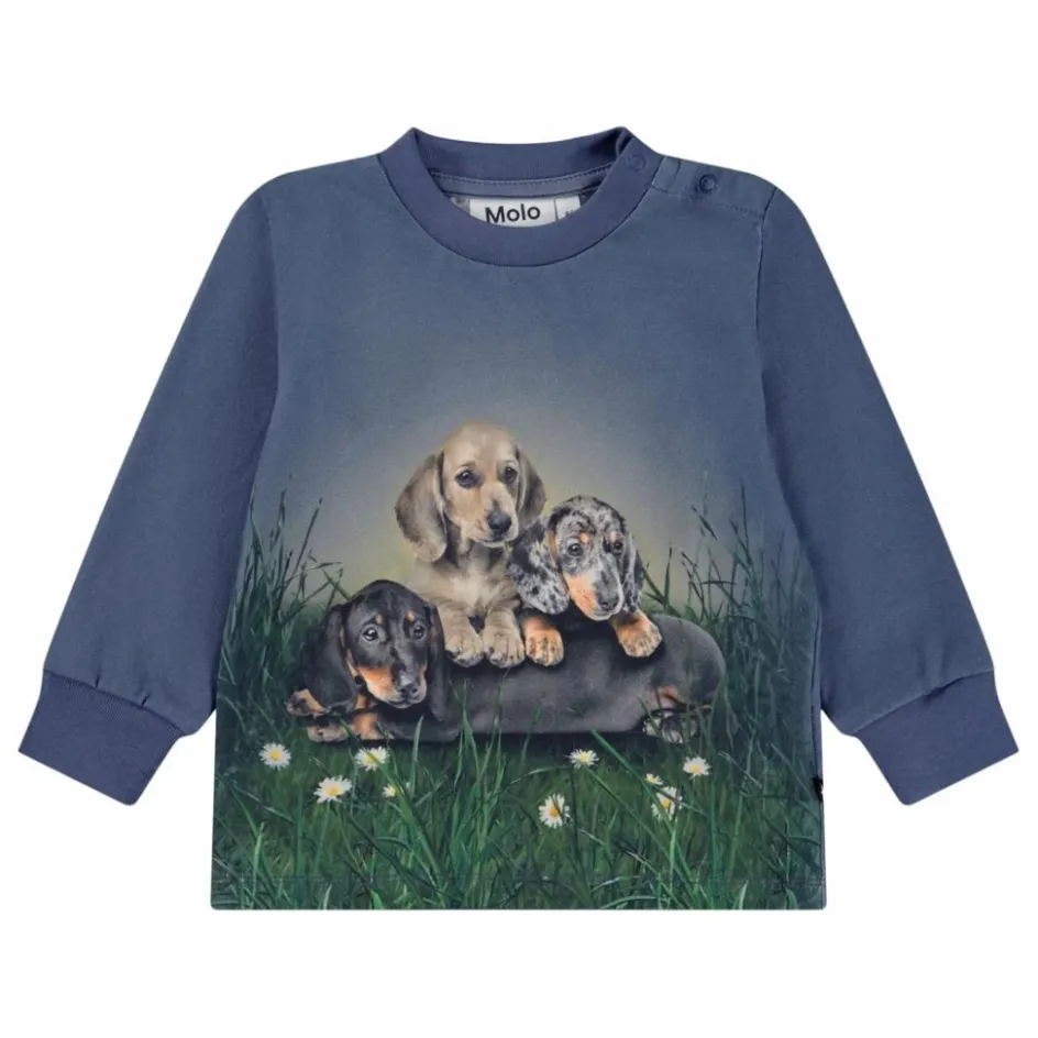 Molo T-shirt Eloy Chiens Coton Bio || T-Shirts, Chemises|Blouses, T-Shirts