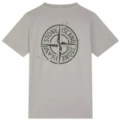 Hot Stone Island T-shirt Forest Compass | Gris
