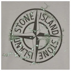 Hot Stone Island T-shirt Forest Compass | Gris