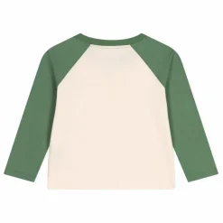 Clearance Petit Bateau T-shirt Manches Raglan | Vert